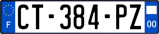 CT-384-PZ