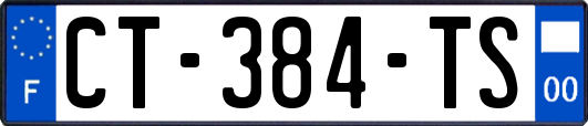 CT-384-TS