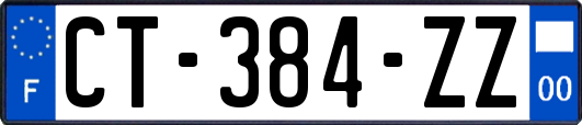 CT-384-ZZ