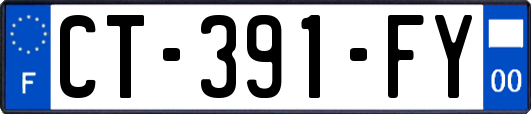 CT-391-FY