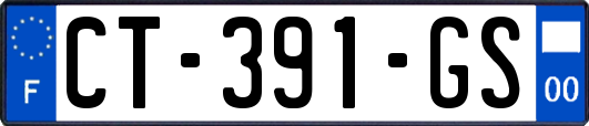 CT-391-GS