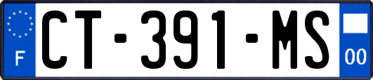 CT-391-MS