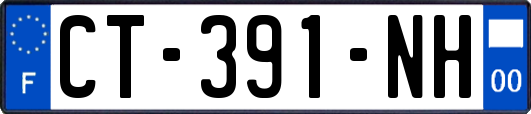 CT-391-NH