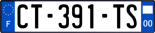 CT-391-TS