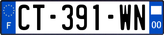 CT-391-WN