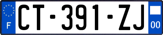 CT-391-ZJ