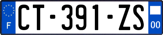 CT-391-ZS