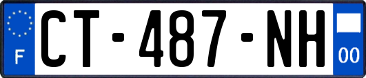 CT-487-NH