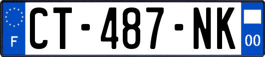 CT-487-NK