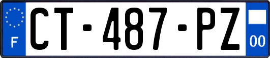 CT-487-PZ