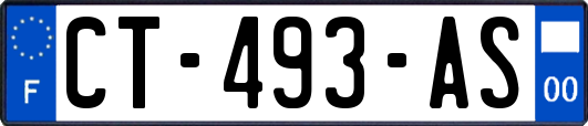 CT-493-AS