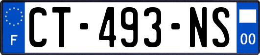 CT-493-NS