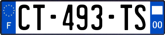 CT-493-TS