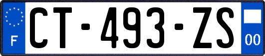 CT-493-ZS