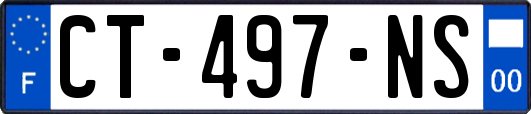 CT-497-NS