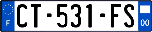 CT-531-FS