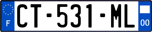 CT-531-ML