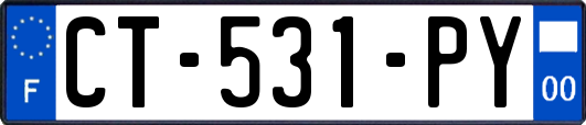 CT-531-PY
