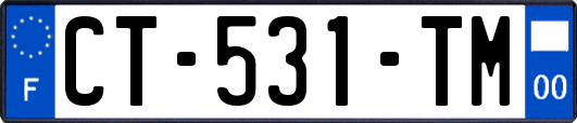 CT-531-TM