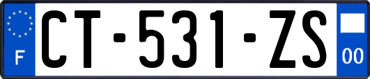 CT-531-ZS