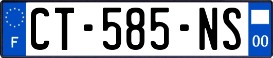 CT-585-NS