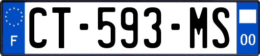 CT-593-MS