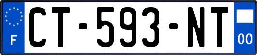CT-593-NT