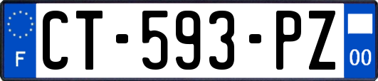 CT-593-PZ