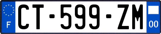 CT-599-ZM