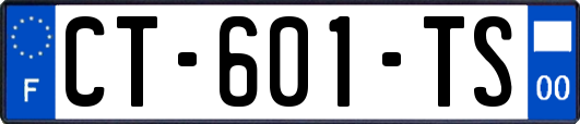 CT-601-TS