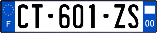 CT-601-ZS