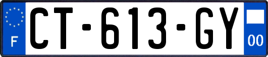 CT-613-GY