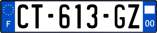 CT-613-GZ