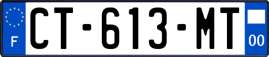 CT-613-MT