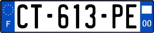 CT-613-PE