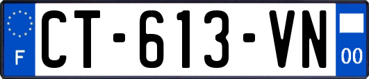CT-613-VN