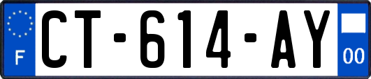 CT-614-AY