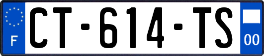 CT-614-TS