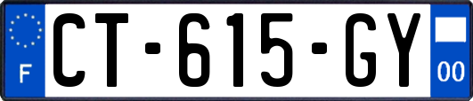 CT-615-GY