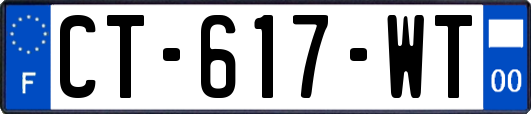 CT-617-WT