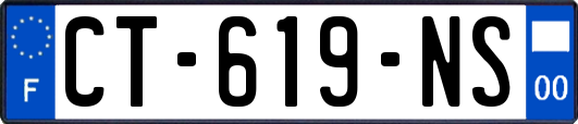 CT-619-NS