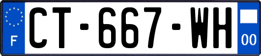 CT-667-WH