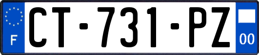 CT-731-PZ