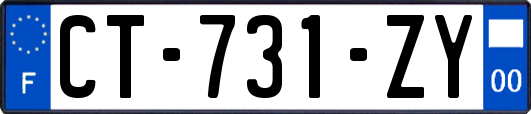 CT-731-ZY