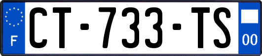 CT-733-TS