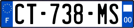 CT-738-MS