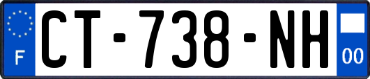 CT-738-NH