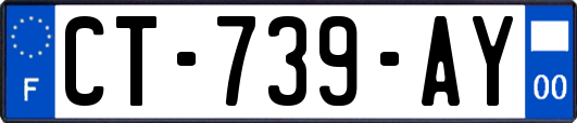 CT-739-AY