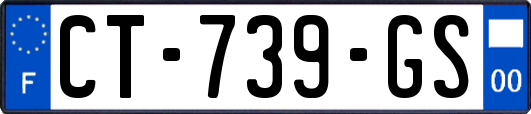 CT-739-GS