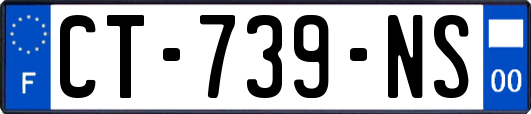 CT-739-NS